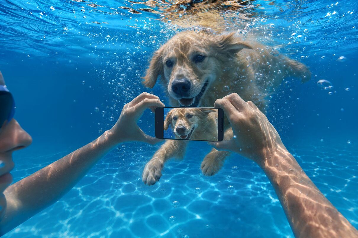 REDMI Note 17 Pro 5G_underwater photography