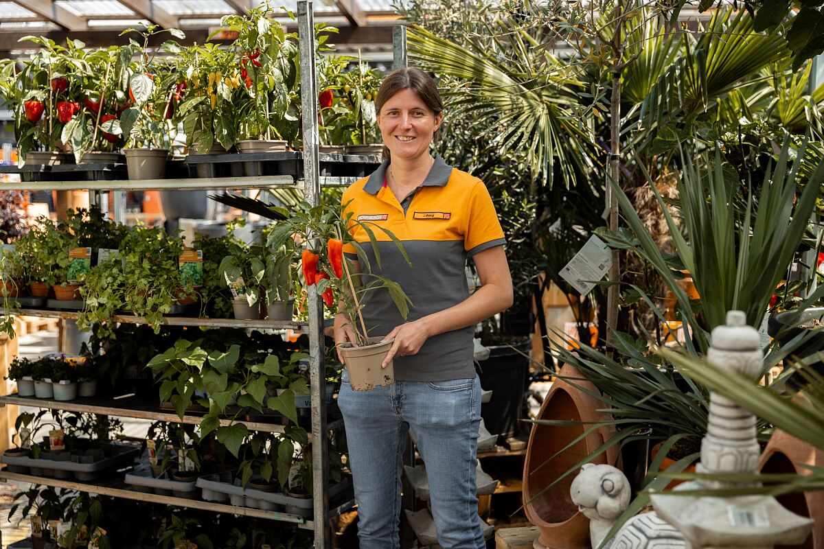 HORNBACH_Foodsharing